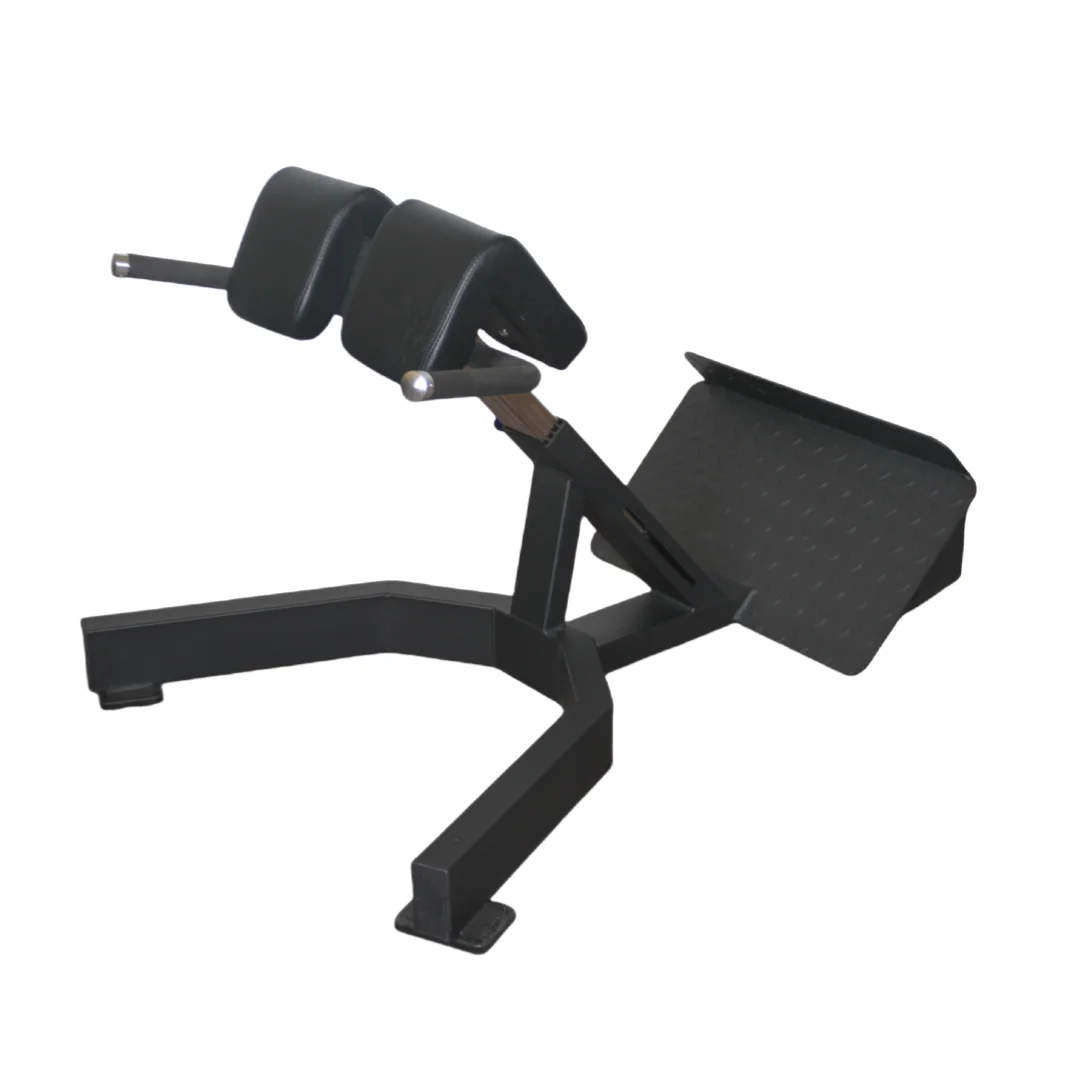 Home Gym Leg Extension - Factory Price Roman Chair Back Extension