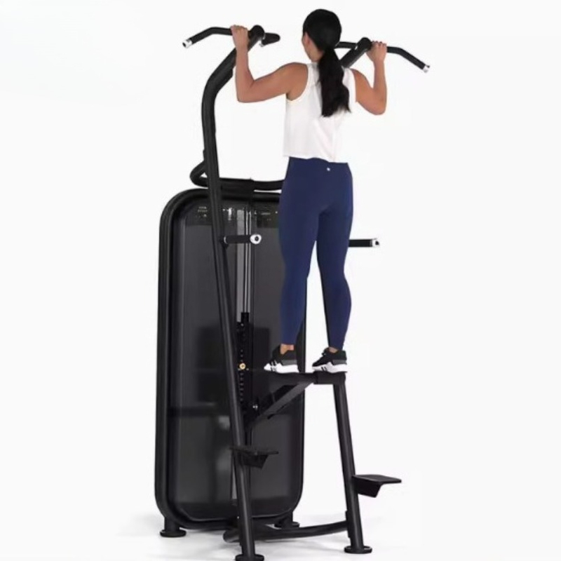 Assisted pull-up parallel bar  - огляд і ціна Home Gym Equipment Diy