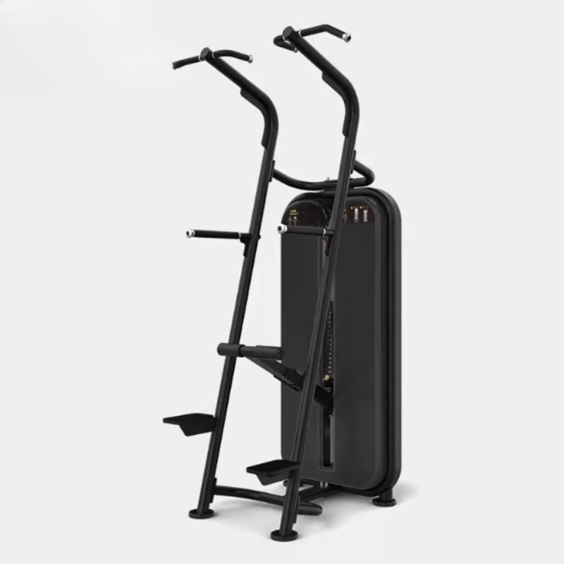 Assisted pull-up parallel bar  - огляд і ціна Home Gym Equipment Diy